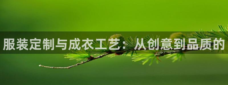 天辰娱乐游戏平台怎么样