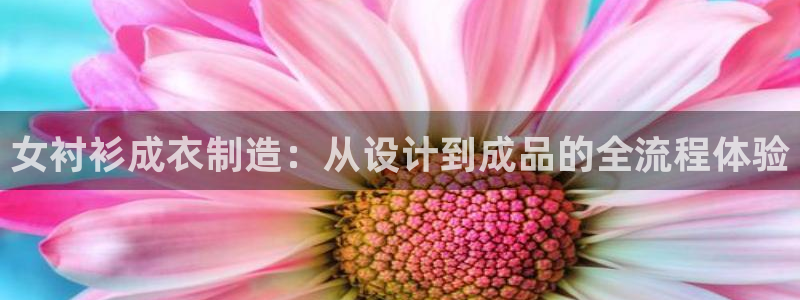 天辰娱乐小妹