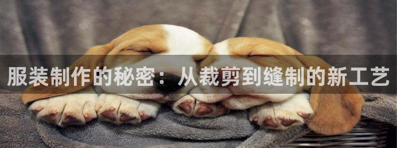 天辰国际娱乐