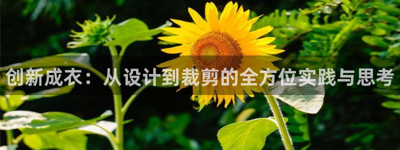 天辰娱乐10086