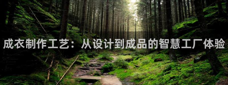 天辰娱乐84566
