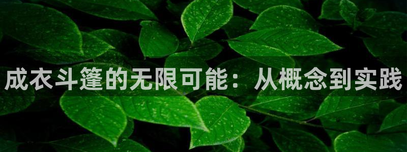 天辰娱乐登陆