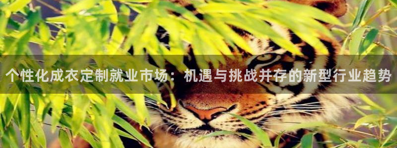 大同天辰娱乐