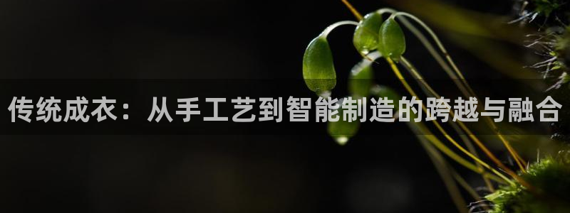 天辰娱乐好吗