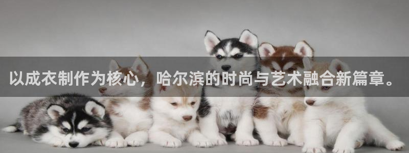 天辰娱乐指定