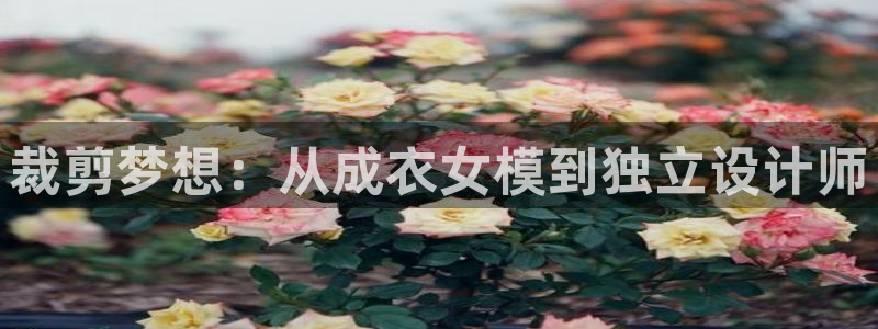 天辰娱乐链接