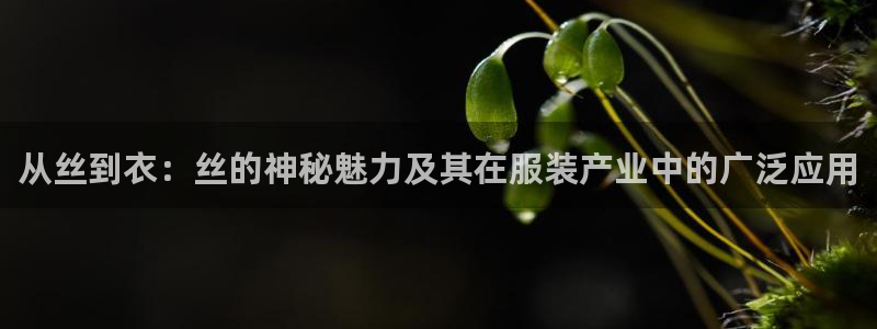 集宁天辰娱乐