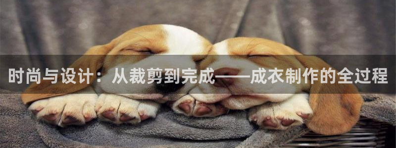 天辰娱乐1980