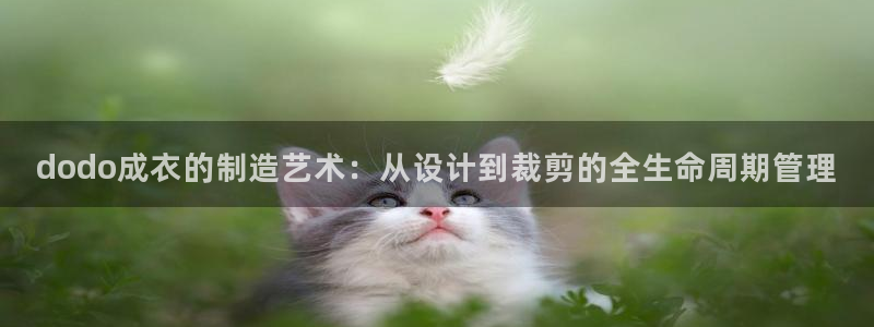 天辰2娱乐