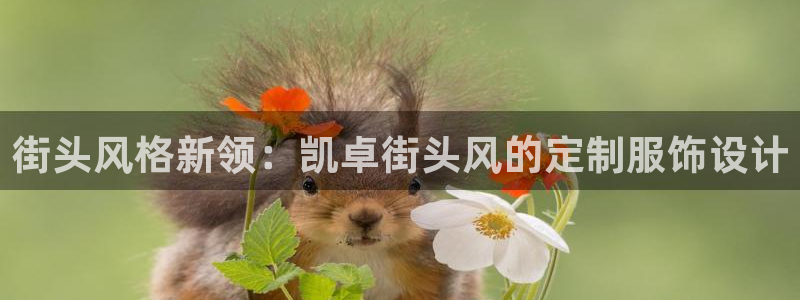天辰娱乐官网平台入口