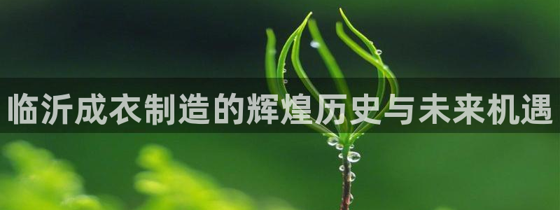 天辰娱乐代理