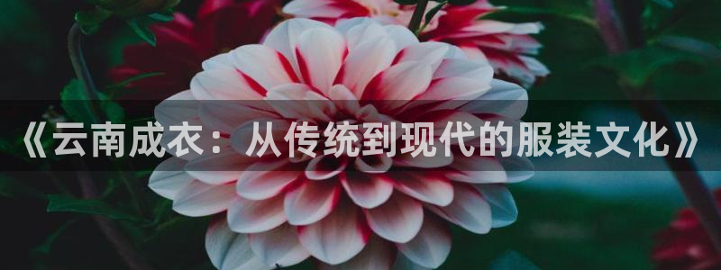 天辰娱乐 849852