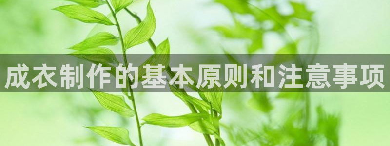 天辰娱乐小妹