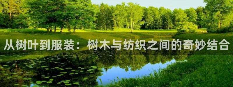 天辰娱乐 18113