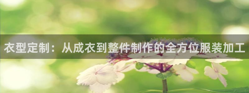 天辰娱乐新