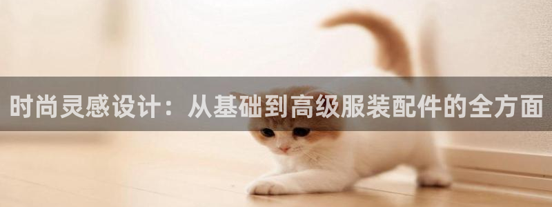 辰天娱乐用品