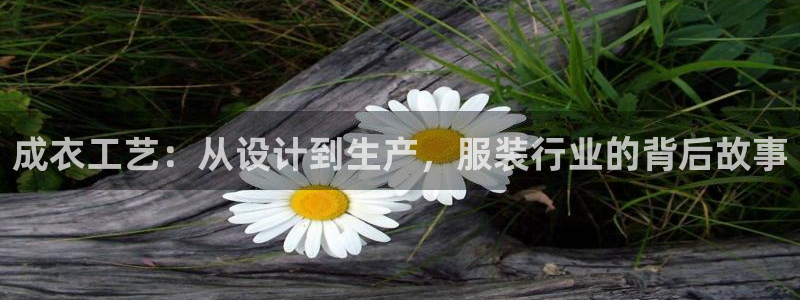 天辰娱乐白屏