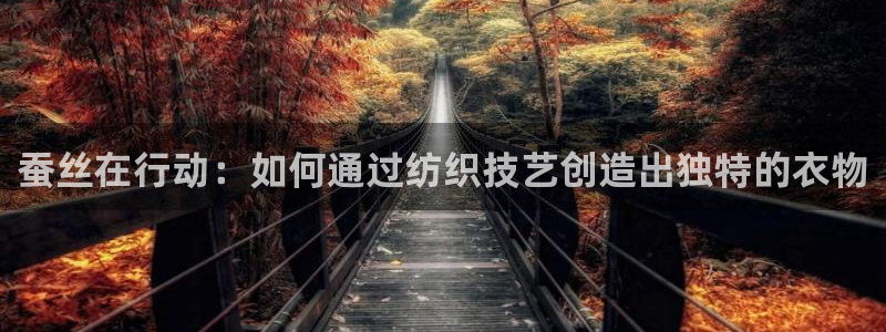 天辰臣娱乐