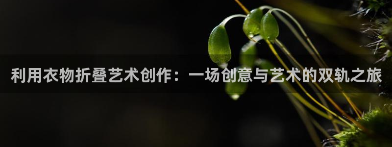 天辰娱乐元宝