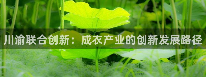 天辰娱乐输了