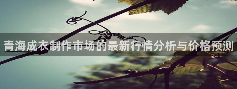 天辰娱乐1956