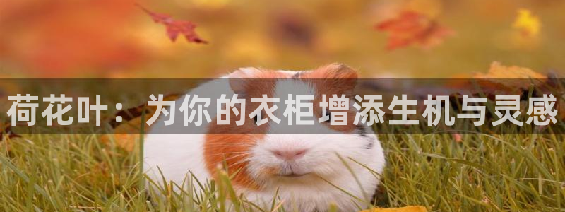 天辰娱乐指定