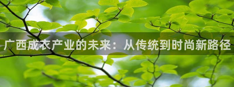 天辰娱乐官网平台入口