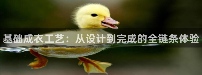 天辰辰娱乐代理