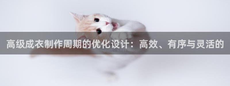 天辰娱乐登陆平台