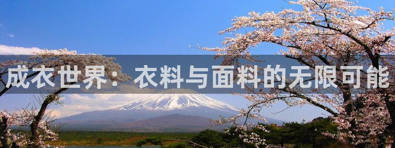 天辰娱乐股东