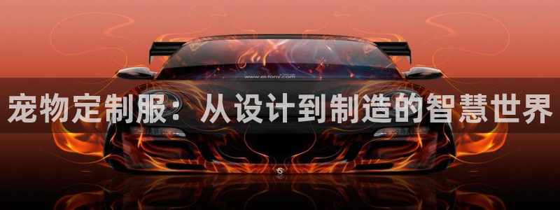 天辰彩票娱乐