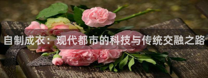 天辰说娱乐