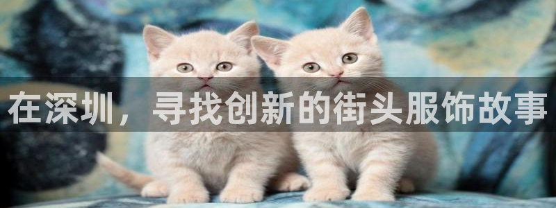 天辰娱乐黑人