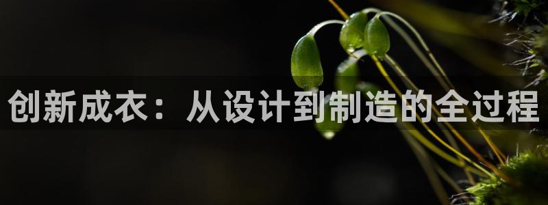 天辰娱乐输了