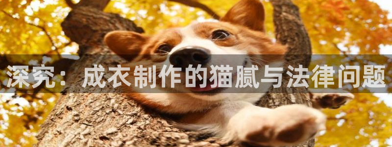 天辰娱乐51137