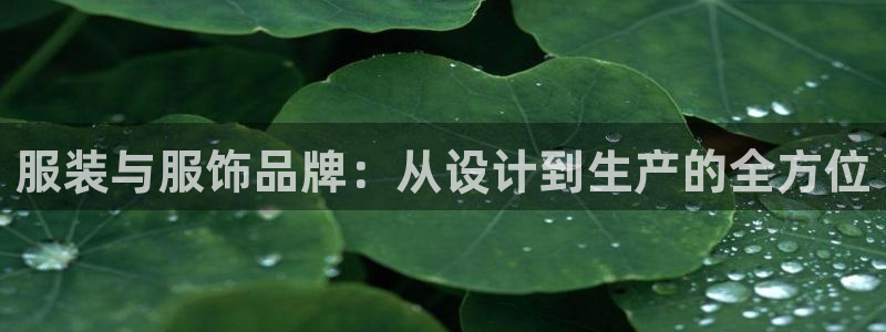 广东天辰娱乐