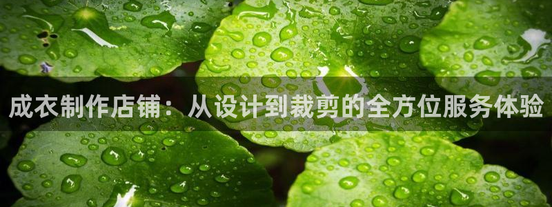 天辰娱乐国际