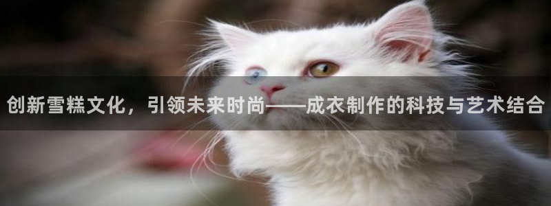 天辰娱乐国际