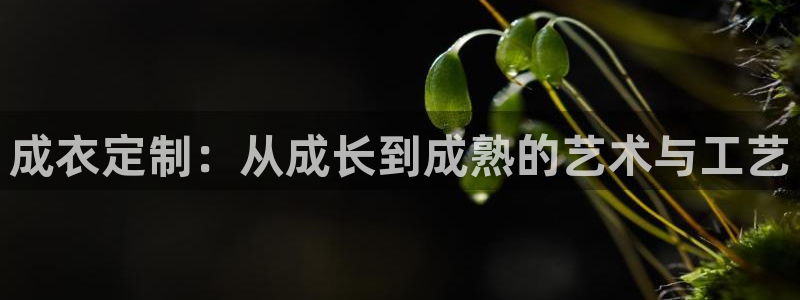 天辰娱乐2