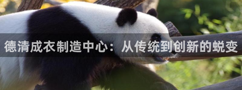 天辰娱乐在线