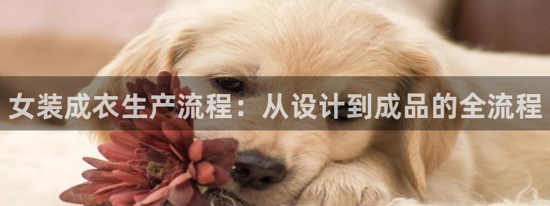 天辰娱乐分红